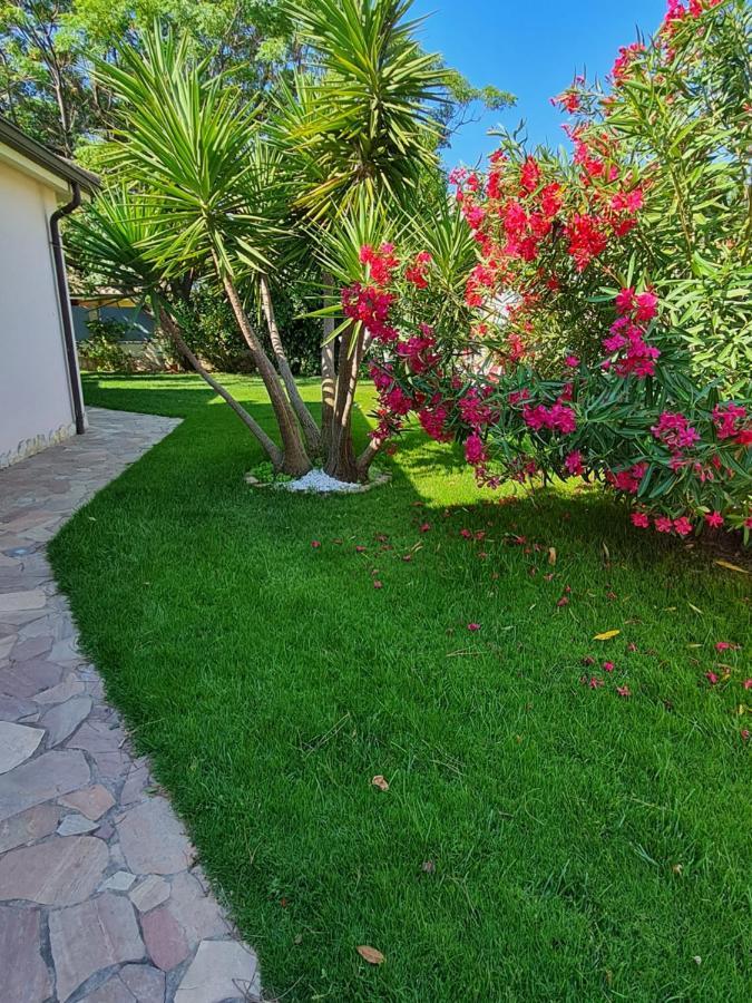 Gentarrubia Bed and Breakfast Capoterra Buitenkant foto